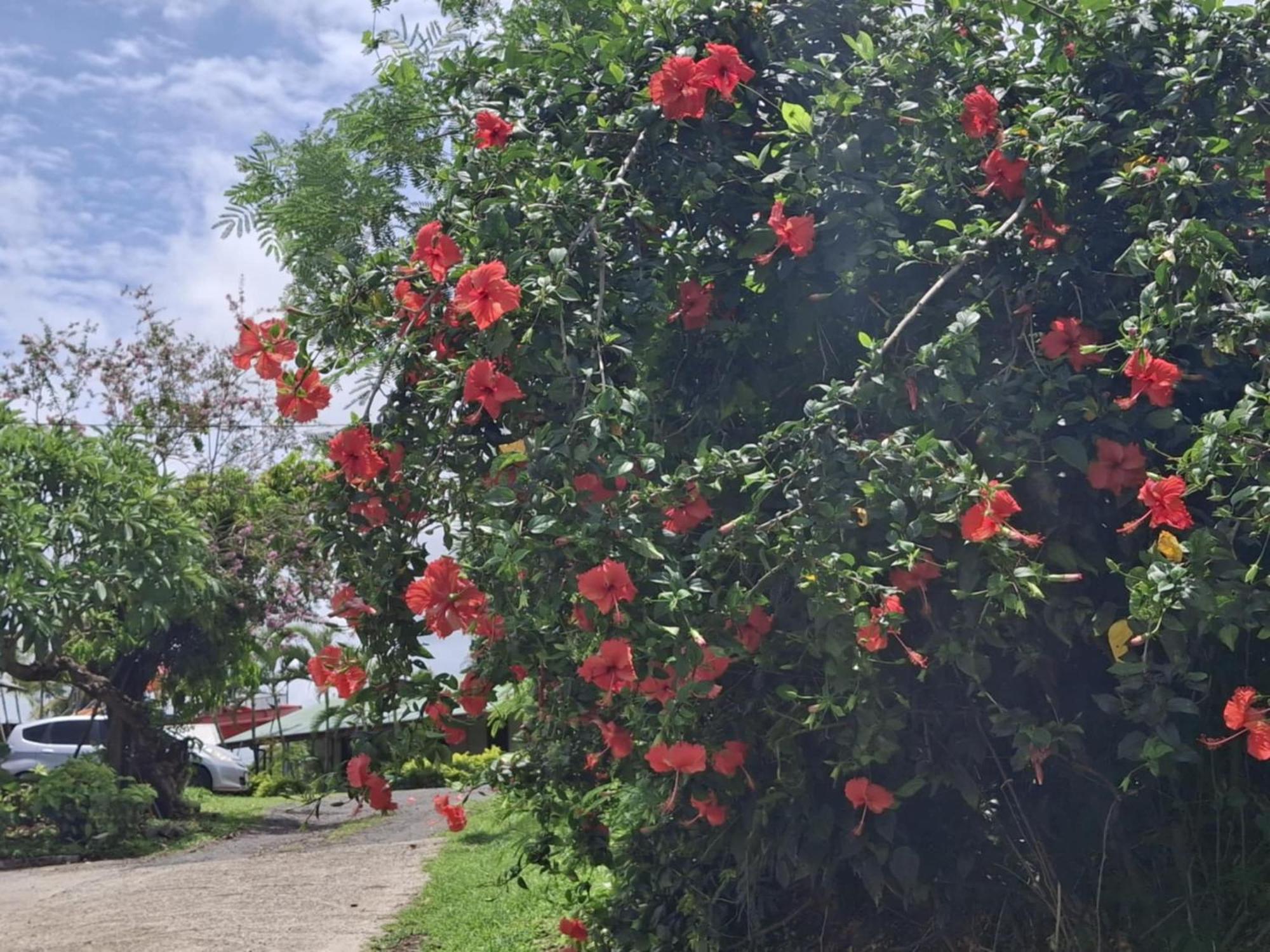 Tavua Hotel Ismail Investments 外观 照片